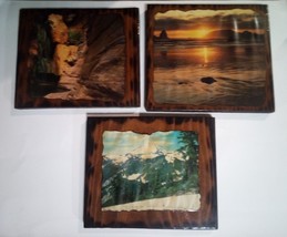 3 1970&#39;s Wood Wall Plaques Wall Hangings Nature Picture Art - $353.97 MXN