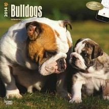 Bulldogs - 18 Month - 2014 Calendar - £7.00 GBP