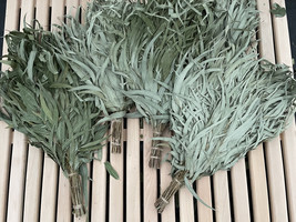 Eucalyptus Leaves Whisk X 20 for Spa Venik for Banya - £191.80 GBP