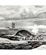 Attaching Whale With Harpoon 1926 Nautical Antique Print Whale Hunting D... - $460.08 MXN
