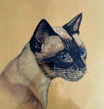 Siamese Cat Lithograph Victorian 1900s Art Print Gladys Emerson Cook DWCC6 - £102.21 GBP