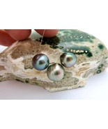 NEW Gorgeous High Grade Colorful Tahitian Rikitea Mangareva Gambier Cult... - €138,11 EUR