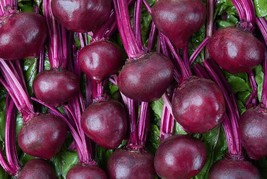 AD Merlin Beets 30 Seeds Home Garden - $252.42 MXN