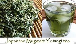 Japanese Mugwort Seeds-YOMOGI - Artemisia princeps, 500 Heirloom seeds - $5.94