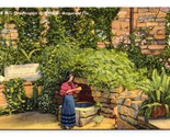 Fountain of Youth St Augustine Fllorida FL Linen Postcard M2 - $4.04
