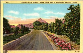 Vintage Postcard Entrance To The Biltmore Estates, Squaw Peak In Background (C9) - £4.56 GBP