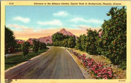 Vintage Postcard Entrance To The Biltmore Estates, Squaw Peak In Background (C9) - £4.38 GBP