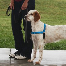 PetSafe Deluxe Easy Walk Steel Dog Harness Black/Ocean 1ea/MD - £41.11 GBP