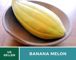 20 Pcs Banana Melon Heirloom Seeds Non GMO Cucumis melo Seed - £15.37 GBP