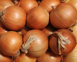 Sweet spanish yellow onion harvested  79926 thumb155 crop