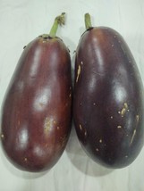 Black Beauty Eggplant Seeds 50+ Organically Homegrown - £5.24 GBP