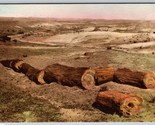 Petrified Forest Logs Holbrook AZ UNP Hand Colored Albertype DB Postcard... - $26.68