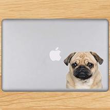 Pug Laptop Decal - 5&quot; tall x 5&quot; wide - $3.00