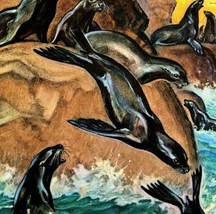 Seals Ocean Shore 1954 Art Print Paul Bransom Marlin Perkins Zooparade D... - $39.99