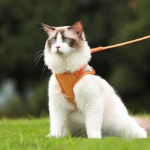 Escape-Proof Reflective Cat Harness and Leash Set - £10.24 GBP+