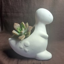 Succulent in Dinosaur Planter, Live California Sunset Sedum White Cerami... - £11.84 GBP