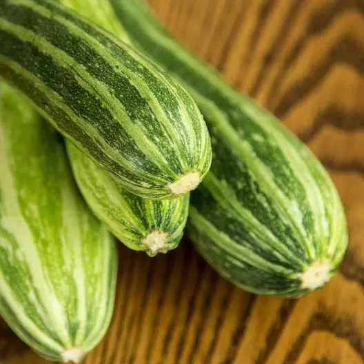 Cocozelle Zucchini Summer Squash Cucurbirta Non Gmo 50 Seeds - $9.80