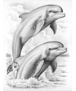 Reeves Dolphins Sketching by Numbers, Medium - €8,86 EUR