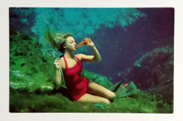 Weeki Wachee Spring of the Mermaids Florida Attraction Dexter Postcard 1950s (c) - £7.95 GBP