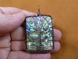 j471-13) Paua sea shell + Mother of Pearl copper wired Tree of Life pendant - £22.15 GBP