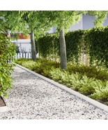 vidaXL Lawn Edgings 30 pcs White 39.4 x 0.2 x 5.9 in Plastic - $401.89 CAD