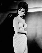 Raquel Welch very busty in bra and skirt mid 1960&#39;s era 8x10 real photo - £8.49 GBP