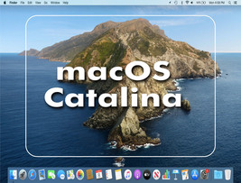 MacOS El Capitan, High Sierra, Catalina Pre-loaded (Macbook Pro 2008 &amp; u... - £13.99 GBP+