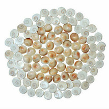 Wholesale Lot 100 Pcs Natural Gomti Chakra Best Quality For Laxmi Puja Pooja - £46.72 GBP