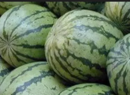  Crimson Sweet Watermelon 100 Seeds - £7.83 GBP