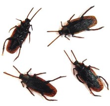 100 BULK COCKROACH BUGS fake creepy bug roach joke cockroaches insects R... - £14.91 GBP