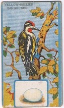 Cowan Co Toronto Bird Card Yellow Bellied Sapsucker Bird Series Coupon Removed - £3.85 GBP