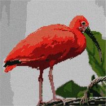 Pepita needlepoint canvas: Scarlet Ibis, 10&quot; x 10&quot; - $78.00+