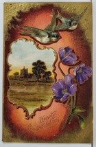 Birds Flowers Heartiest Congratulations Embossed 1910 Tekamah Neb Postcard L20 - £3.98 GBP