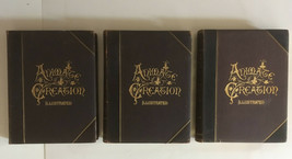 1885 Complete 3 Vol. ANIMATE CREATION JG Wood - Mammalia Birds Fishes &amp; ... - £511.57 GBP