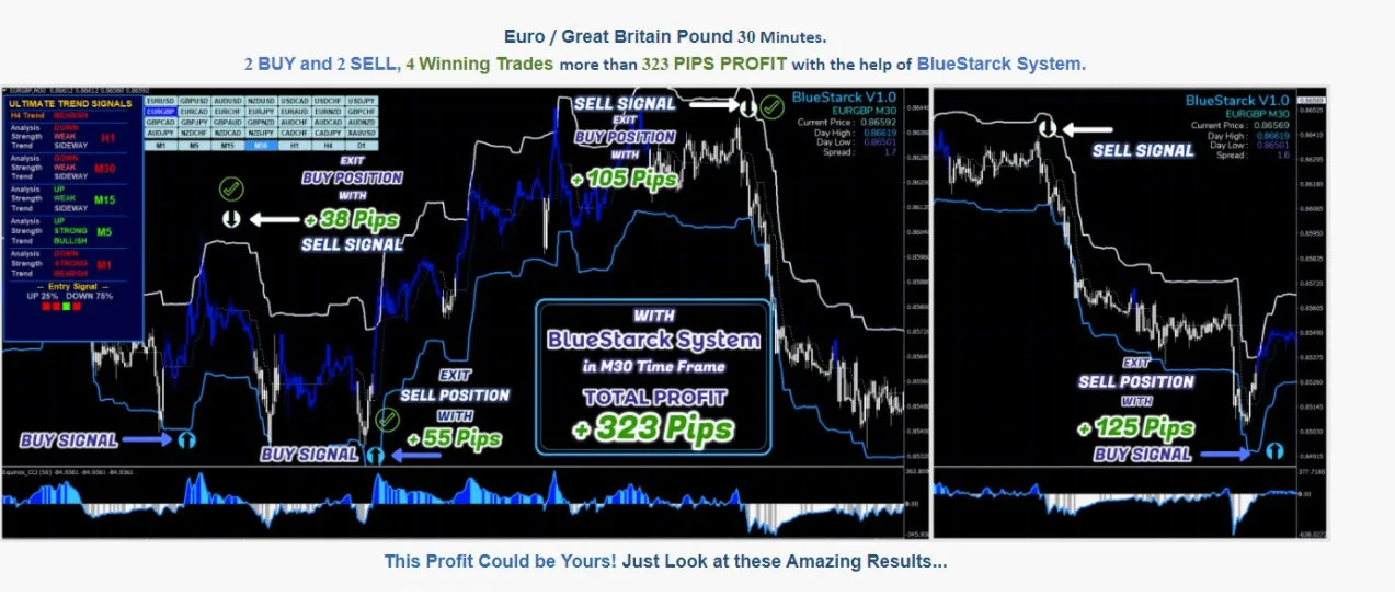 Bluestarck System Analyzes The Chart With Unique Trading Algorithms To F... - $5.60