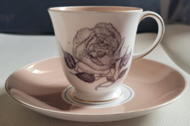 2 Pcs. Susie Cooper Teacup and Saucer Flowers Bone China 2 1/2 Inch Cup ... - $21.99