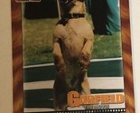 Garfield Trading Card  2004 #2 Odie - $1.97