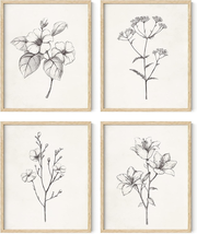 Grey Floral Wall Art - Set of 4 Plant Posters for Wall Vintage, Botanical - $69.83