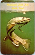 Brook Trout Michigan State Fish Postcard - £5.44 GBP
