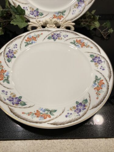 SET OF 2 DINNER PLATE AMELIA OSCAR DE LA RENTA PETITE BONE CHINA - $14.60