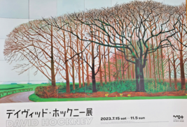 Hockney, A Tokyo - Manifesto Originale Esposizione - 51cm x 36cm - Molto Raro - - $269.06