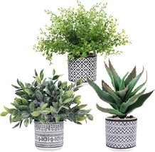 Set Of 3 Fake Eucalyptus Boxwood Plants And Aloe Succulent Plant In Assorted - £31.63 GBP