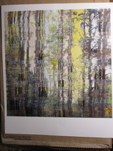 Modern Artist 11.5&quot; x 9.75&quot; Bookplate Print: Dan Hays - Overgrown Path - £2.74 GBP