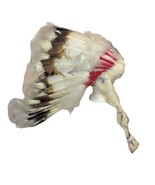 Vintage Native American Feather Headdress Plains Indian Style Cahuilla T... - $841.49