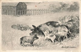 St Just England 1905 Pmk~Mother Pig &amp; Piglets~Artist Maude Scrivener Postcard - £7.36 GBP
