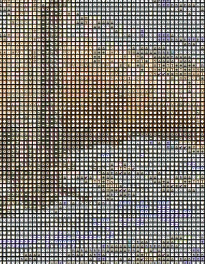 Deer Farm Cross Stitch Pattern***L@@K*** Item image 12