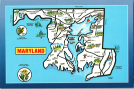 Vtg Postcard Maryland Picture Map State Flower Black Eyed Susan Bird Oriole - £5.15 GBP