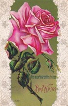 Best Wishes Large Pink Single Rose w/ Thorns 1910 Great Bend KS Postcard E09 - £6.80 GBP