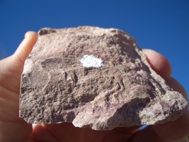 TYUYAMUNITE URANIUM: JURASSIC CANYON  4.2 OZ., 27,500 CPM   $22.00  +$12... - $22.00