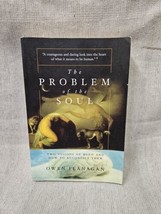 The Problem Of The Soul - Owen Flanagan - £3.14 GBP